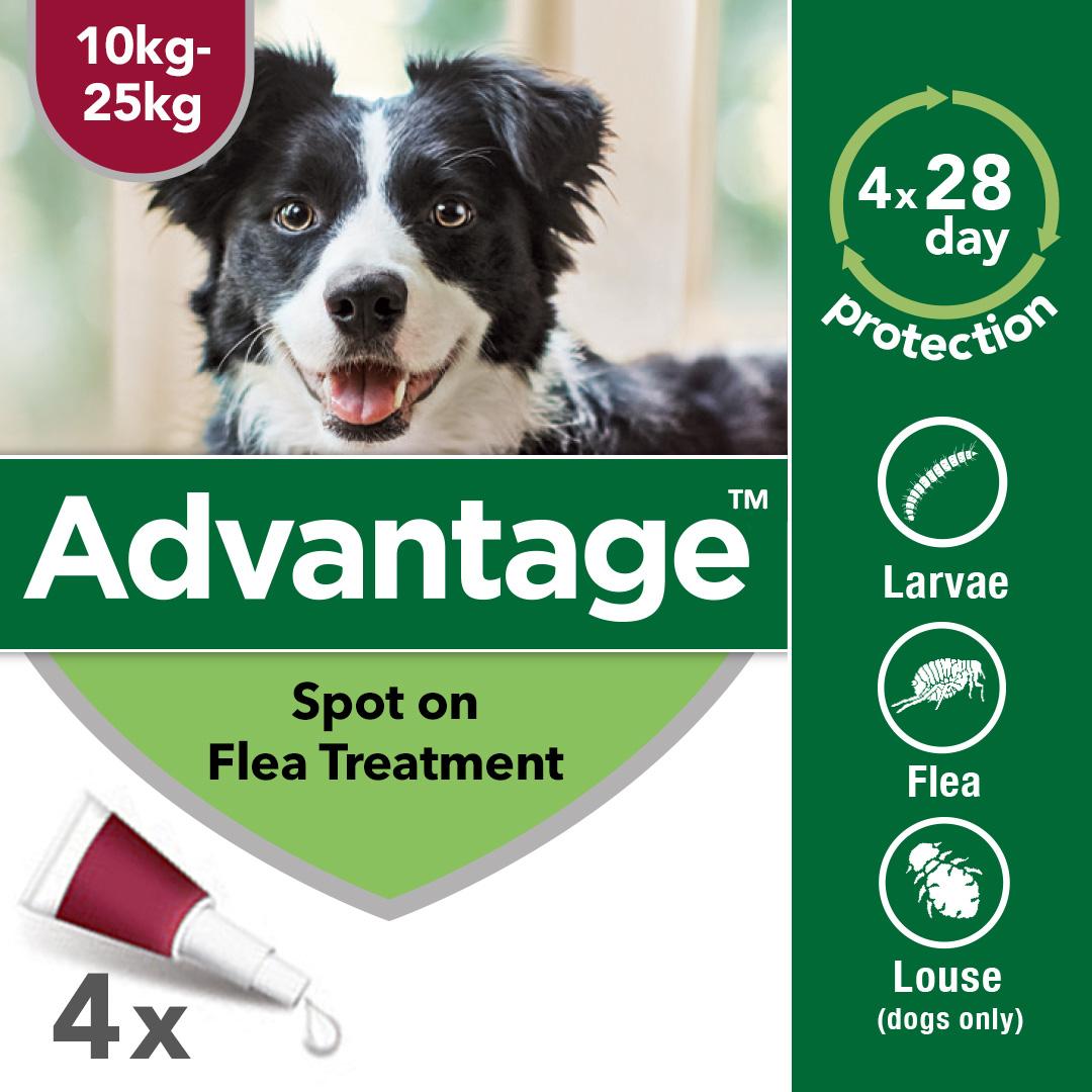 Advantage 250 Spot On Flea Control Large Dog. Cheap Prices VetShop